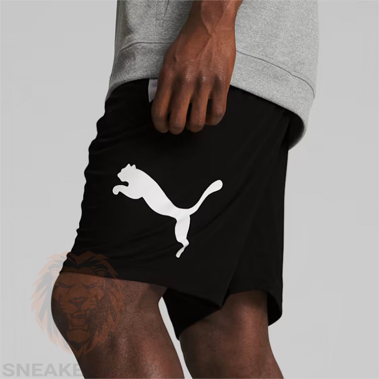 Спортивні шорти PUMA Cat Training Shorts 586278 04